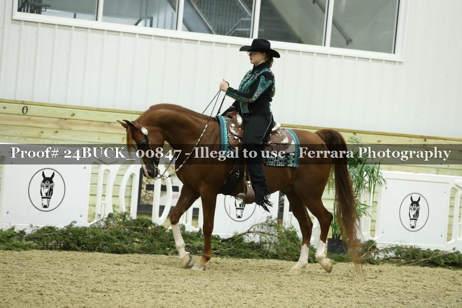 Proof 24BUCK_00847