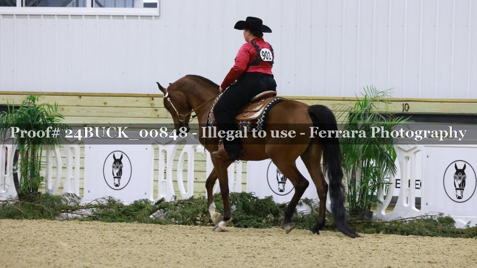 Proof 24BUCK_00848