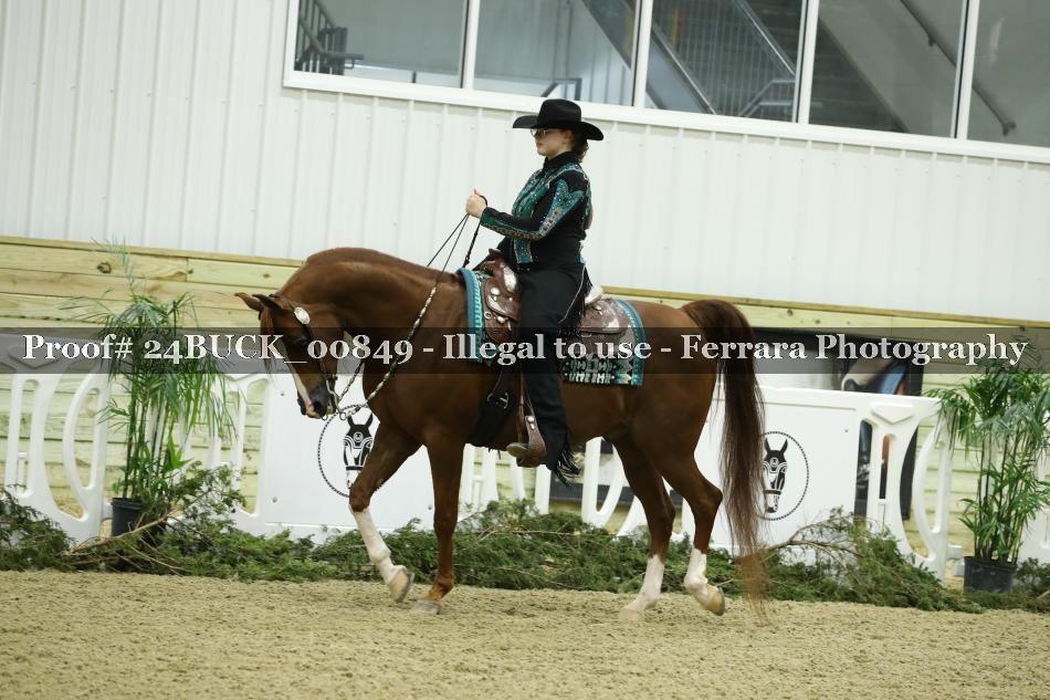 Proof 24BUCK_00849