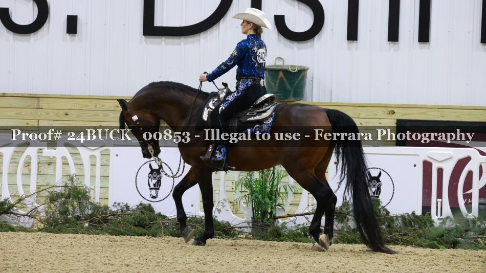 Proof 24BUCK_00853