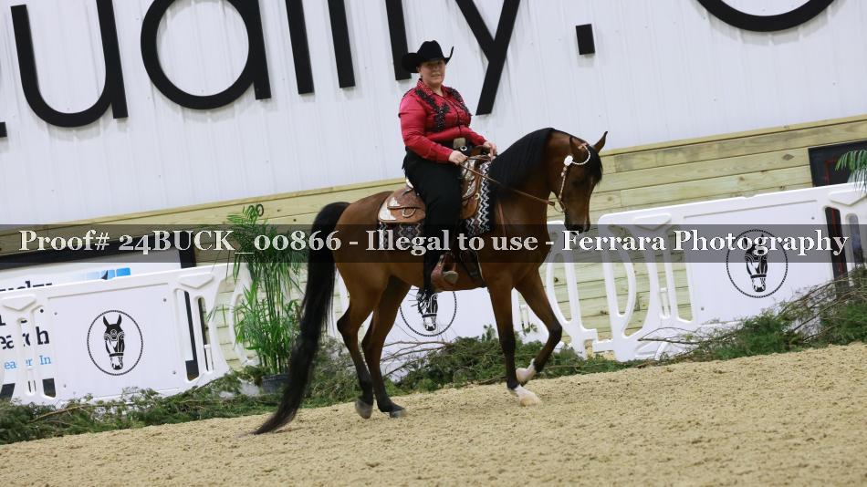 Proof 24BUCK_00866
