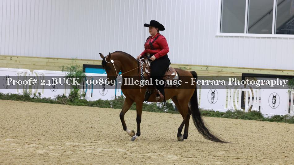 Proof 24BUCK_00869