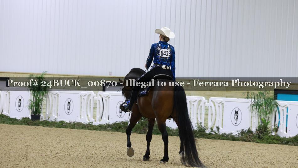 Proof 24BUCK_00870
