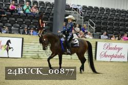 24BUCK_00877 proof