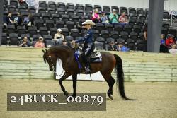 24BUCK_00879 proof