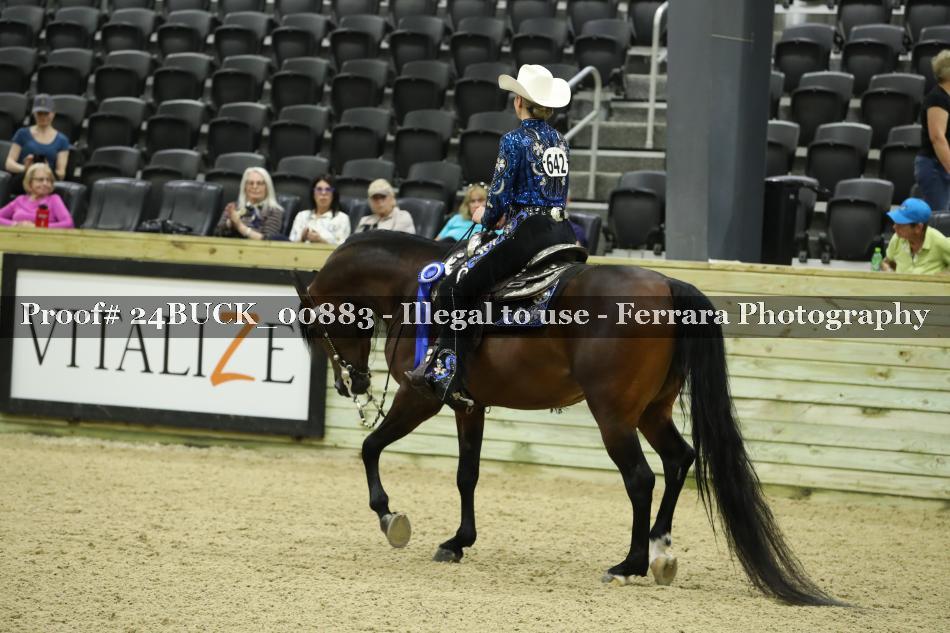 Proof 24BUCK_00883