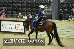 24BUCK_00883 proof