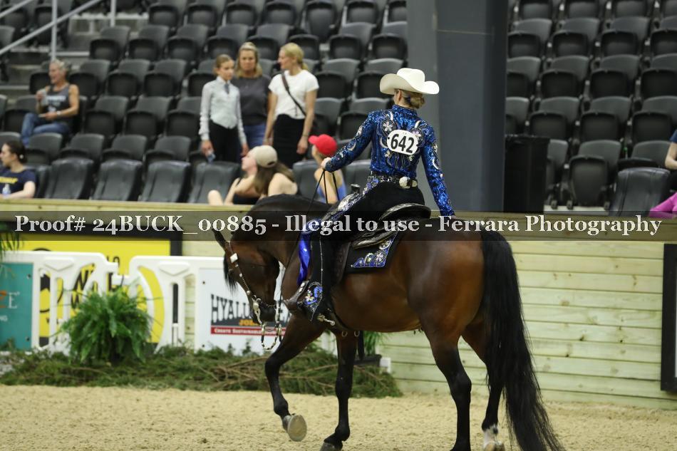 Proof 24BUCK_00885