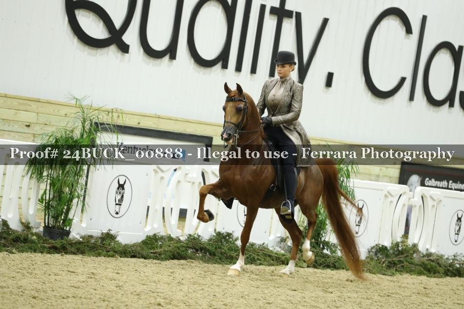 Proof 24BUCK_00888