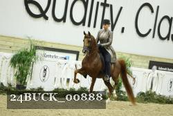 24BUCK_00888 proof
