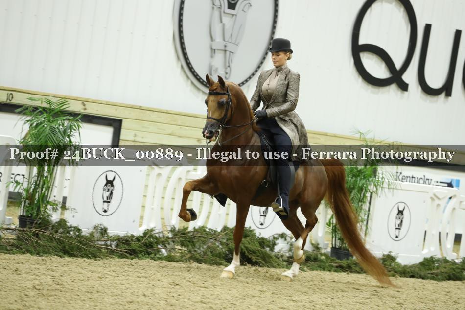 Proof 24BUCK_00889