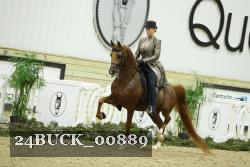 24BUCK_00889 proof