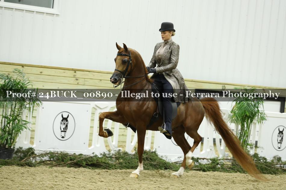 Proof 24BUCK_00890