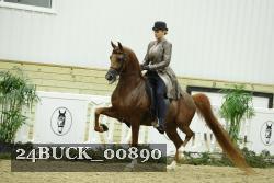 24BUCK_00890 proof