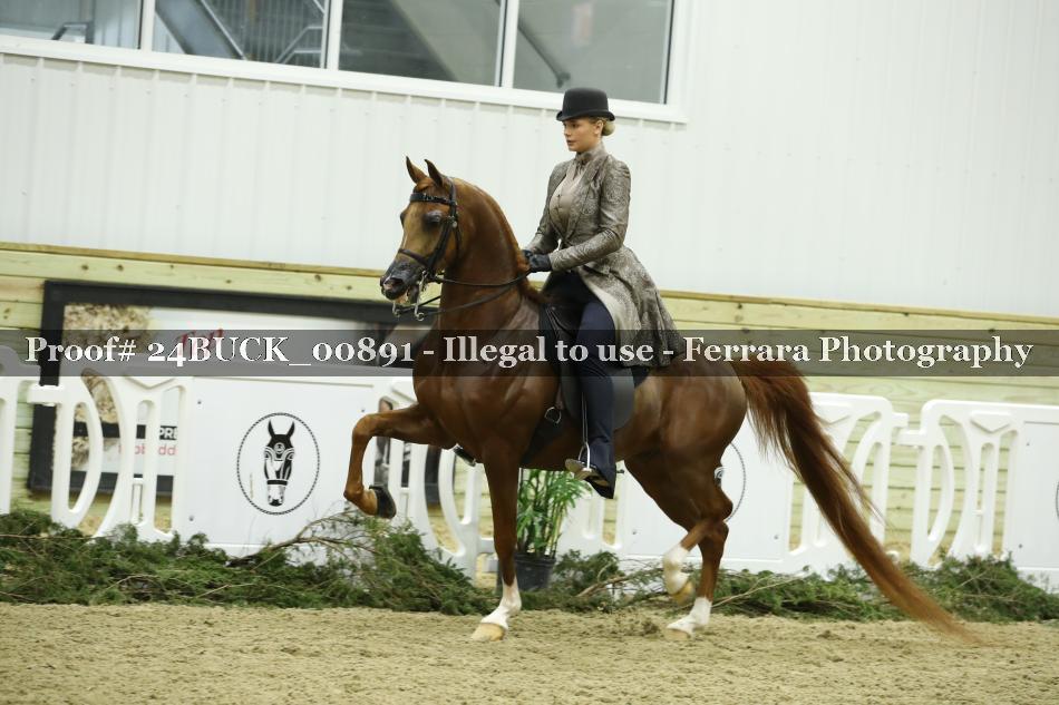 Proof 24BUCK_00891