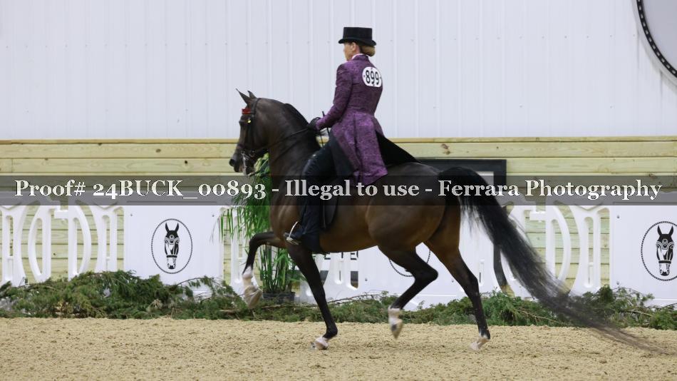 Proof 24BUCK_00893