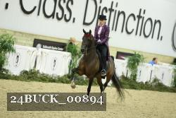 24BUCK_00894 proof