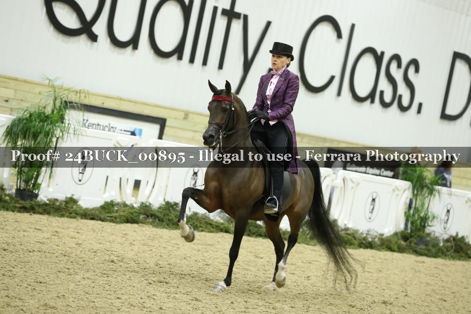 Proof 24BUCK_00895