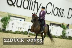 24BUCK_00895 proof