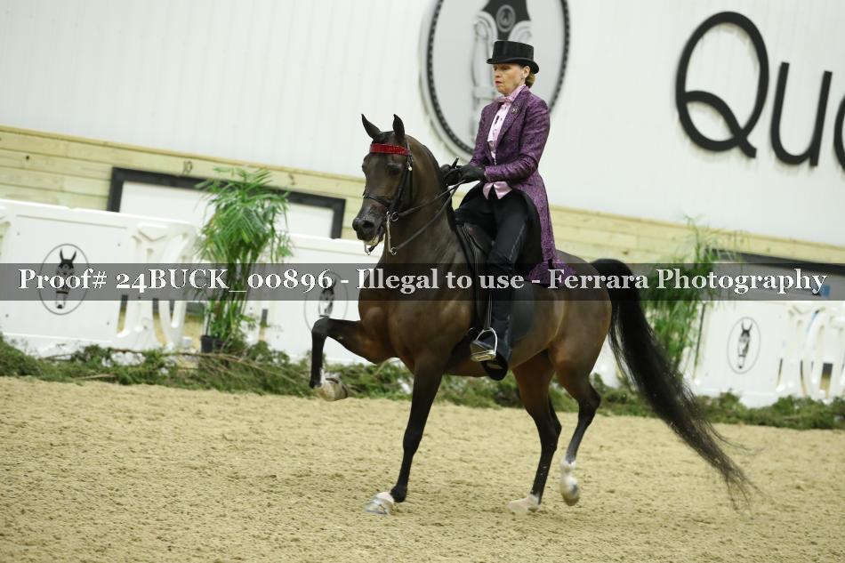 Proof 24BUCK_00896