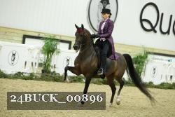 24BUCK_00896 proof
