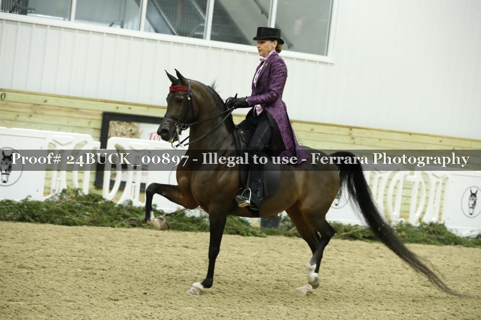 Proof 24BUCK_00897