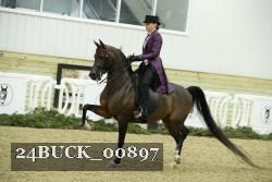 24BUCK_00897 proof