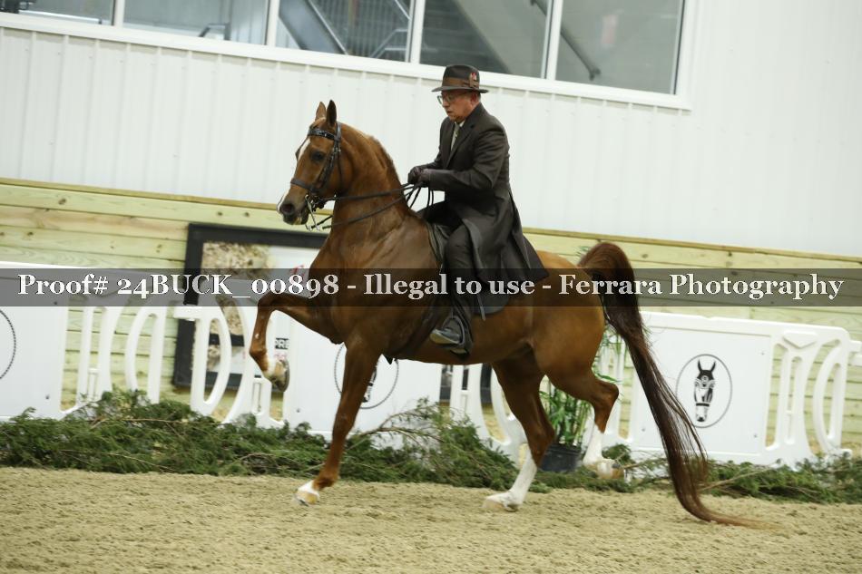 Proof 24BUCK_00898