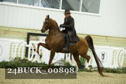 24BUCK_00898 proof