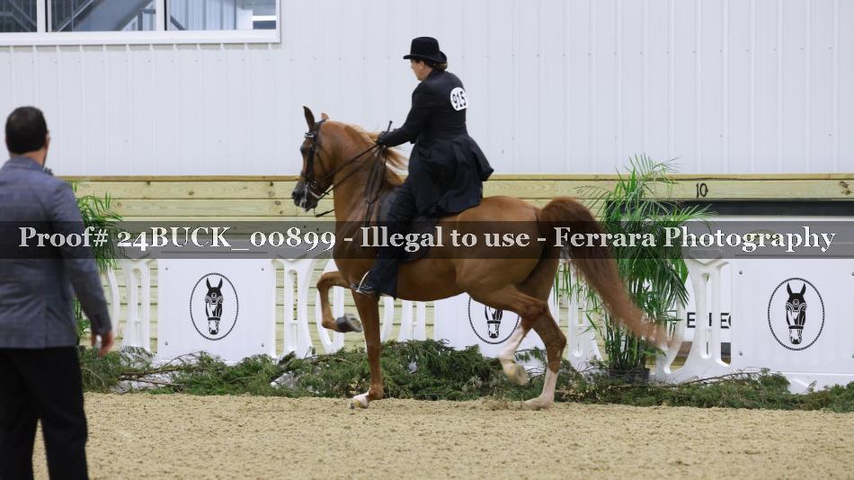 Proof 24BUCK_00899