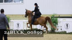 24BUCK_00899 proof