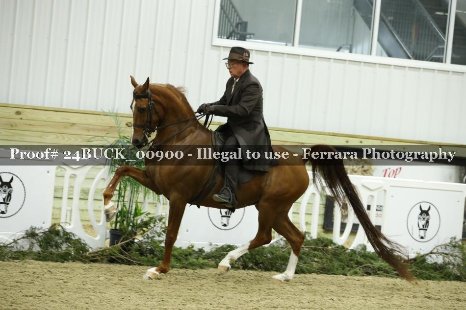 Proof 24BUCK_00900