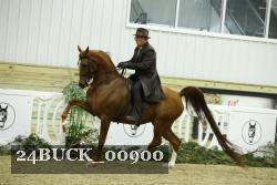 24BUCK_00900 proof