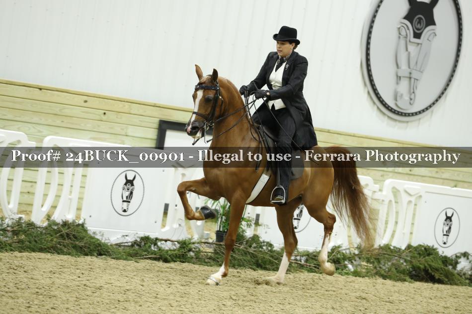 Proof 24BUCK_00901