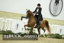 24BUCK_00901 proof