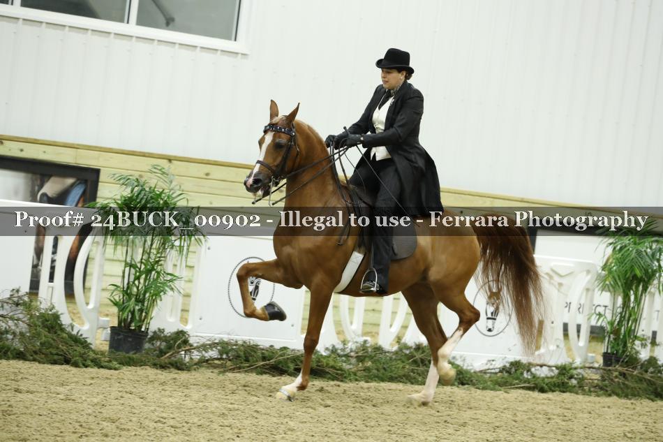 Proof 24BUCK_00902
