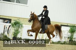 24BUCK_00902 proof