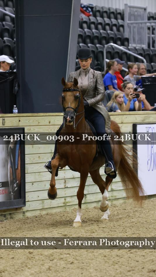Proof 24BUCK_00903