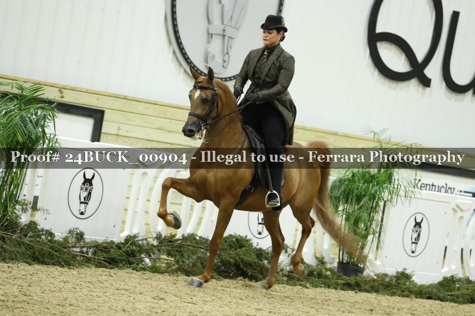 Proof 24BUCK_00904