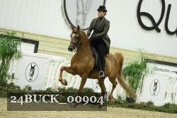 24BUCK_00904 proof