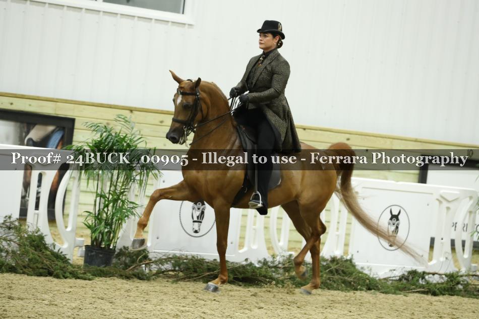 Proof 24BUCK_00905