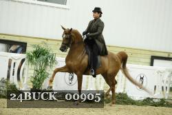 24BUCK_00905 proof
