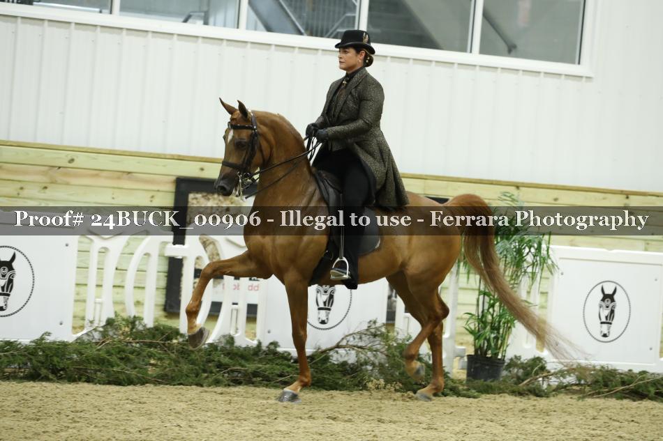 Proof 24BUCK_00906