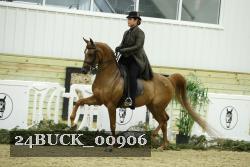 24BUCK_00906 proof