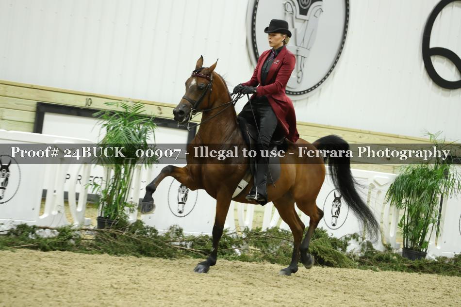 Proof 24BUCK_00907