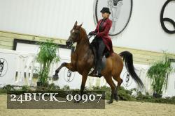 24BUCK_00907 proof