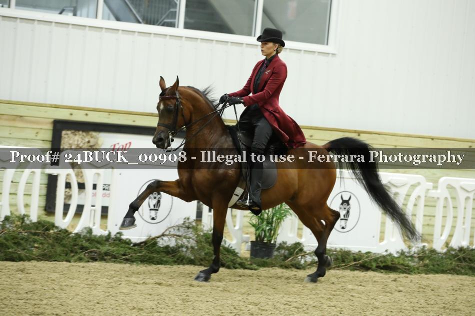 Proof 24BUCK_00908
