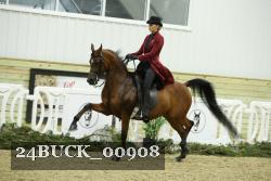 24BUCK_00908 proof