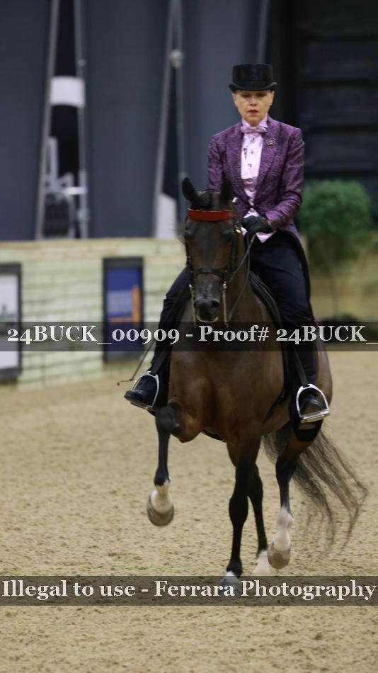 Proof 24BUCK_00909