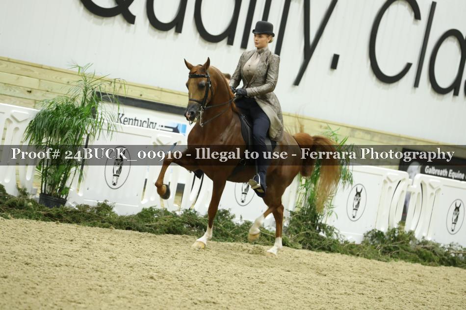 Proof 24BUCK_00910